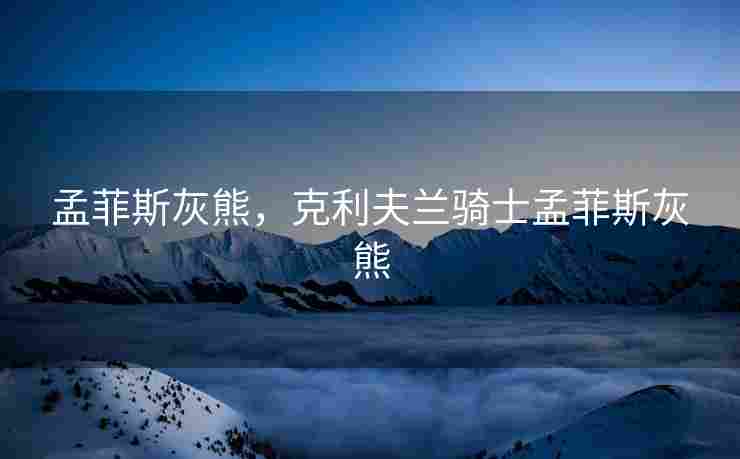 孟菲斯灰熊，克利夫兰骑士孟菲斯灰熊