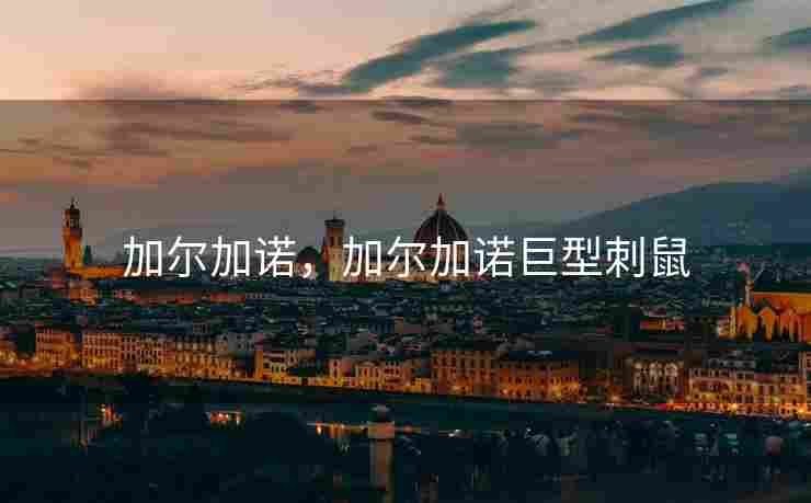 加尔加诺，加尔加诺巨型刺鼠
