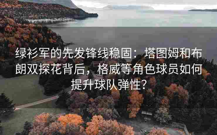 绿衫军的先发锋线稳固：塔图姆和布朗双探花背后，格威等角色球员如何提升球队弹性？