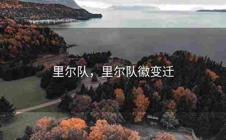 里尔队，里尔队徽变迁