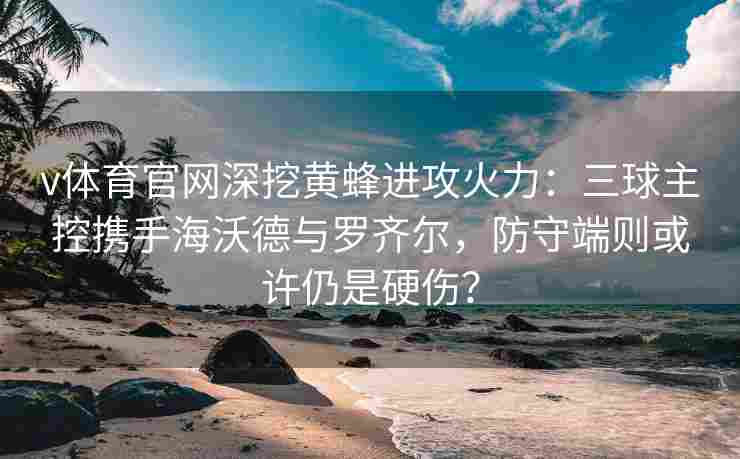 v体育官网深挖黄蜂进攻火力：三球主控携手海沃德与罗齐尔，防守端则或许仍是硬伤？