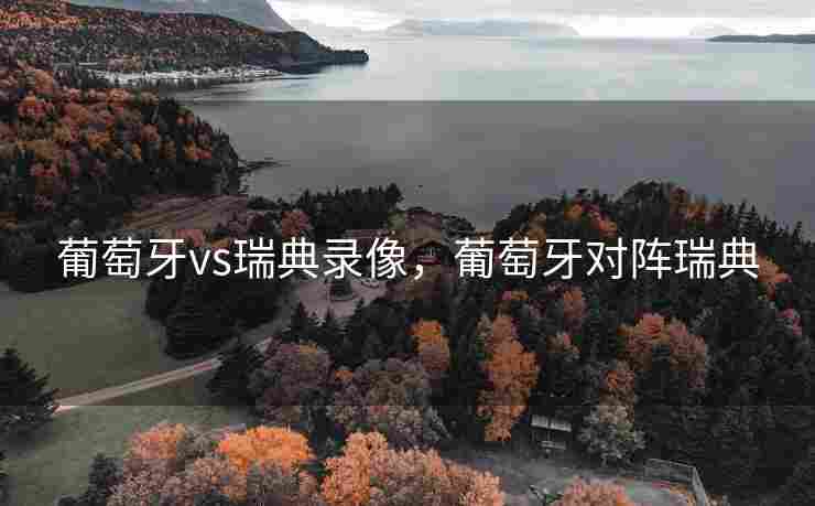 葡萄牙vs瑞典录像，葡萄牙对阵瑞典
