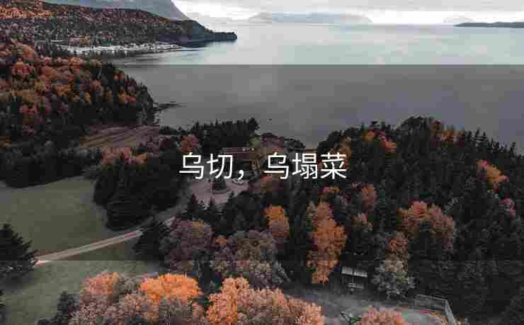 乌切，乌塌菜