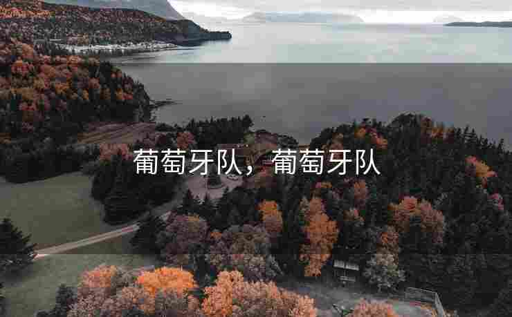 葡萄牙队，葡萄牙队