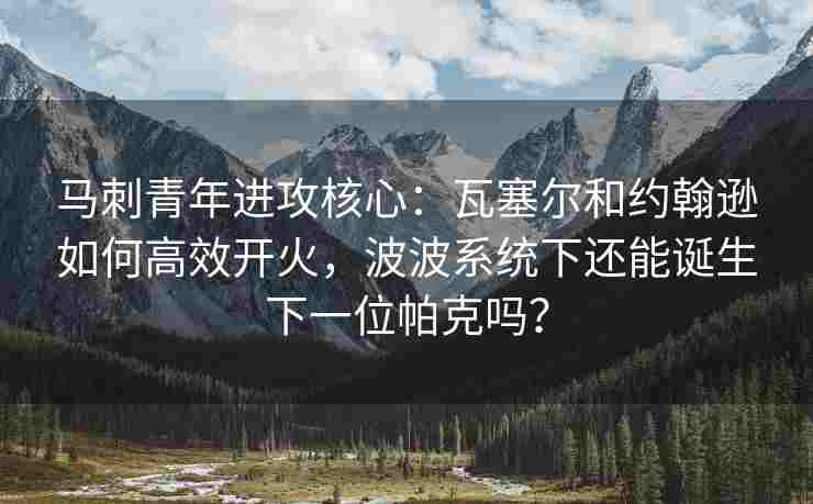 马刺青年进攻核心：瓦塞尔和约翰逊如何高效开火，波波系统下还能诞生下一位帕克吗？
