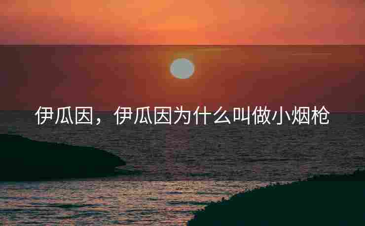 伊瓜因，伊瓜因为什么叫做小烟枪