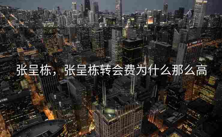 张呈栋，张呈栋转会费为什么那么高