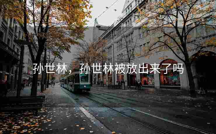孙世林，孙世林被放出来了吗