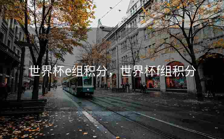 世界杯e组积分，世界杯f组积分