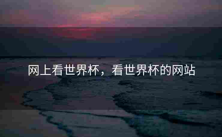 网上看世界杯，看世界杯的网站