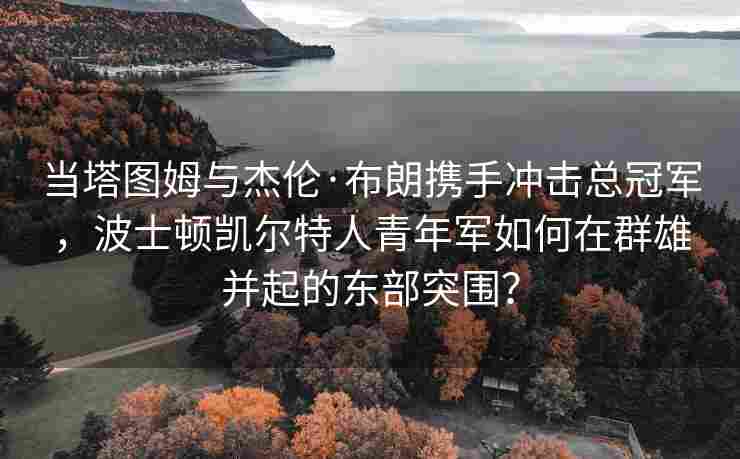 当塔图姆与杰伦·布朗携手冲击总冠军，波士顿凯尔特人青年军如何在群雄并起的东部突围？