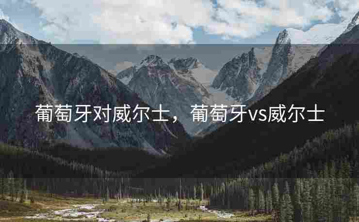 葡萄牙对威尔士，葡萄牙vs威尔士