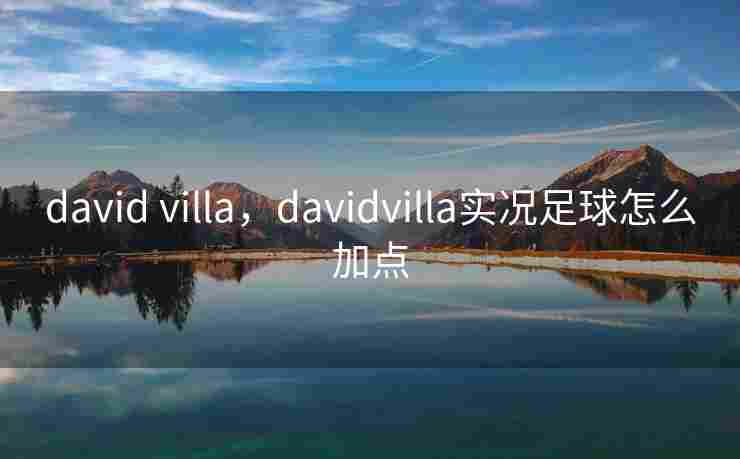 david villa，davidvilla实况足球怎么加点