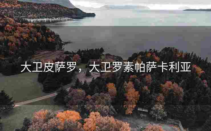大卫皮萨罗，大卫罗素帕萨卡利亚
