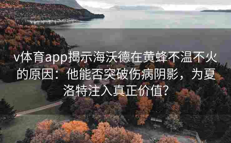 v体育app揭示海沃德在黄蜂不温不火的原因：他能否突破伤病阴影，为夏洛特注入真正价值？