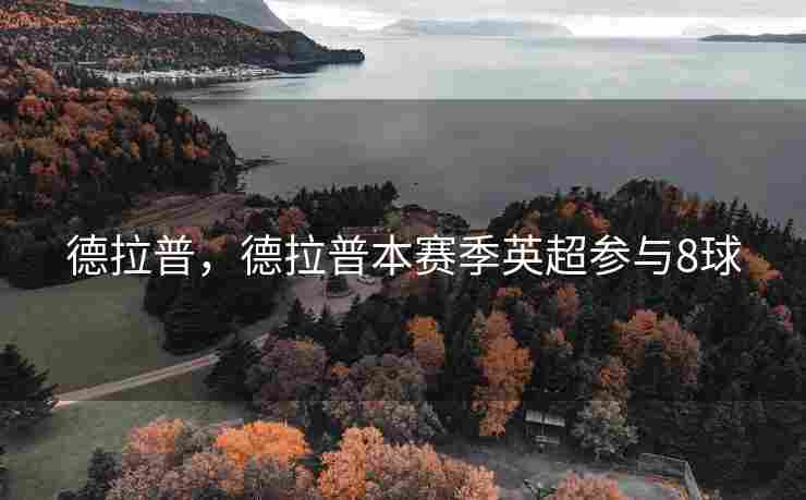 德拉普，德拉普本赛季英超参与8球