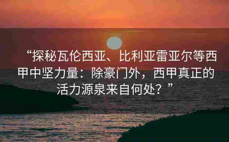 “探秘瓦伦西亚、比利亚雷亚尔等西甲中坚力量：除豪门外，西甲真正的活力源泉来自何处？”