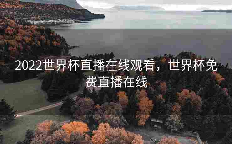 2022世界杯直播在线观看，世界杯免费直播在线