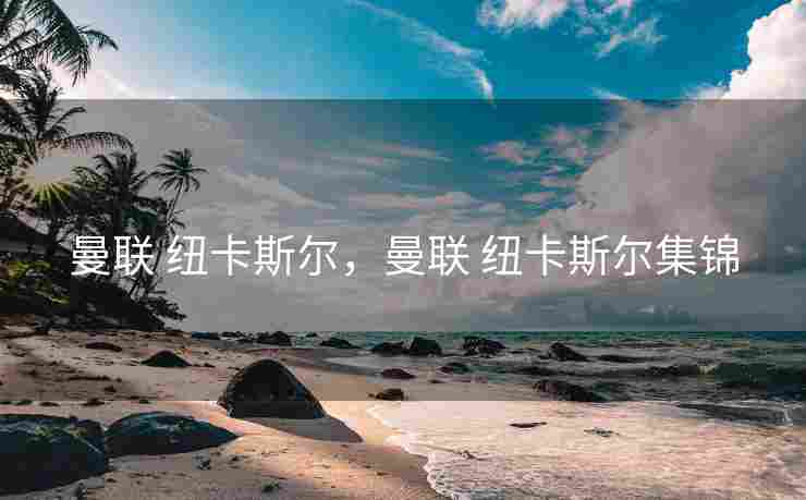 曼联 纽卡斯尔，曼联 纽卡斯尔集锦