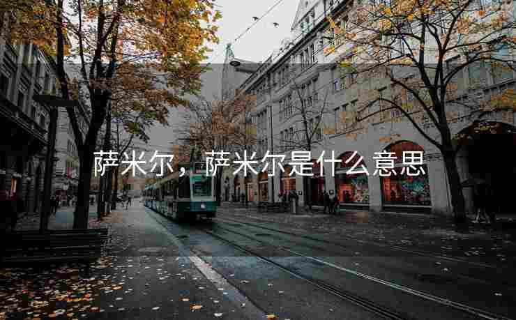 萨米尔，萨米尔是什么意思