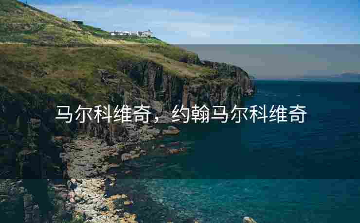 马尔科维奇，约翰马尔科维奇