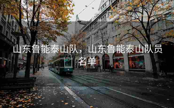 山东鲁能泰山队，山东鲁能泰山队员名单