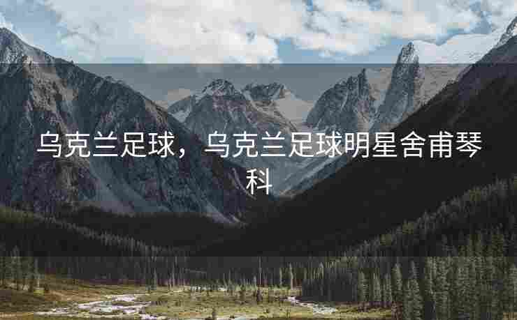 乌克兰足球，乌克兰足球明星舍甫琴科