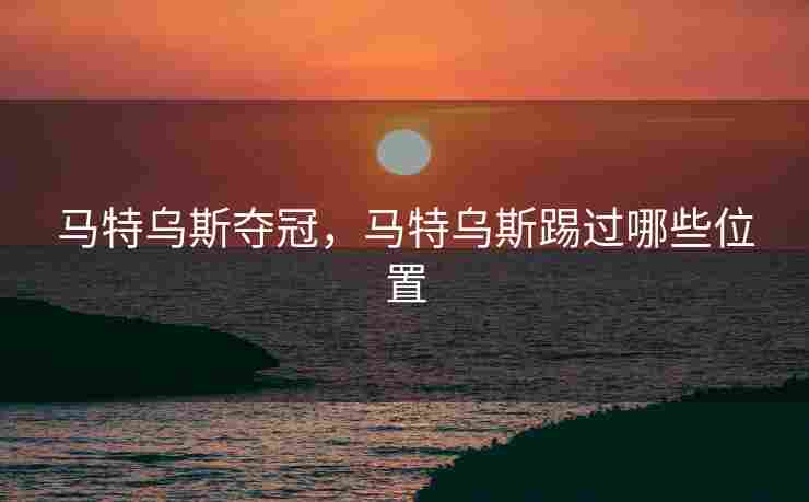马特乌斯夺冠，马特乌斯踢过哪些位置
