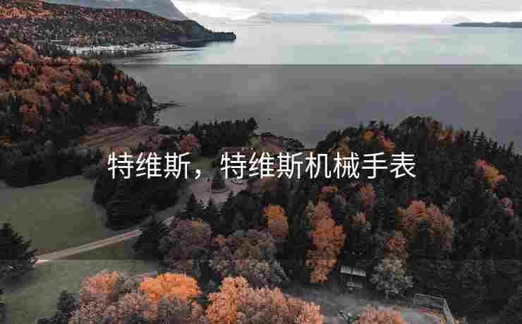特维斯，特维斯机械手表