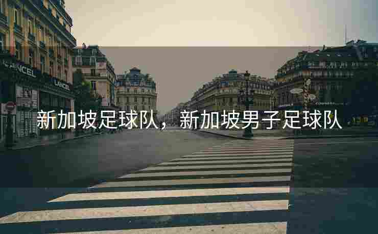 新加坡足球队，新加坡男子足球队