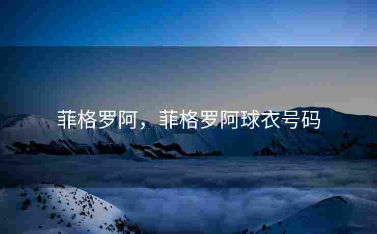 菲格罗阿，菲格罗阿球衣号码
