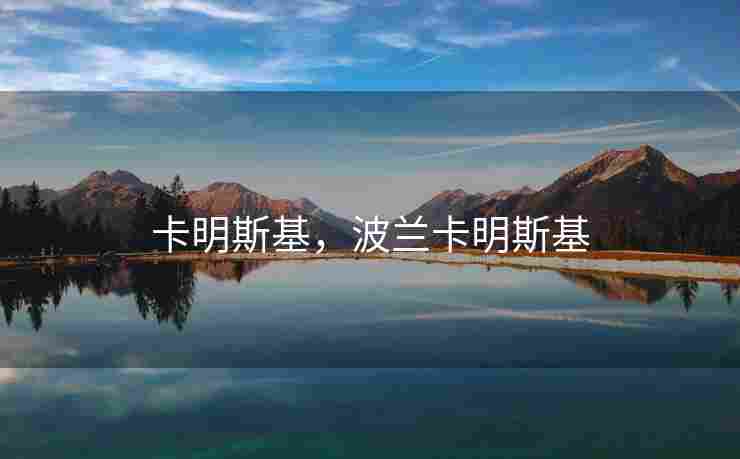 卡明斯基，波兰卡明斯基